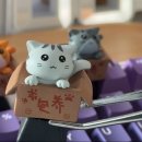 박스캣