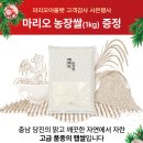 마리오농장