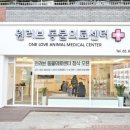 원러브동물의료센터 이미지