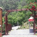 새밭마을 입구 이미지