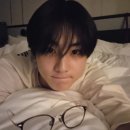 고양이에정원 이미지