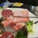 수참치 이미지