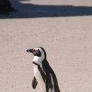 솔학미술학원 이미지