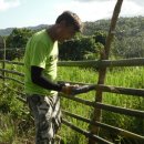 방목농장 이미지