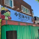 수민농수산