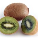 휘트니스트렌드 이미지