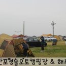 청솔매 | [오토캠핑장추천] 몽산포청솔오토캠핑장 해루질후기