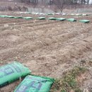 윤형농장 이미지