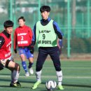 천안시청 스포츠서울