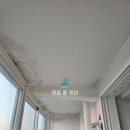 성정활림목련아파트(2차) 이미지