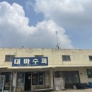 영광 대마 성산리 지석묘군 네이버블로그