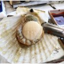 경포회센타 이미지