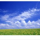 아침하늘 이미지