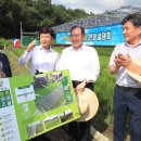 보성태양광발전소 이미지