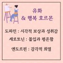 유화 체험재료(다이소 15,000원) , 행복 호르몬 이미지