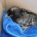 도원2리경로당 이미지