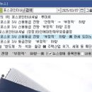 와이지인터내셔널