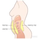 뱃살 좀 있으신가요? 이미지