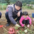 대곡농장 이미지