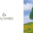 잠꽃펜션 네이버블로그
