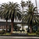 방주펜션 | 제주투어패스 무료 코스 추천 (성산 서귀포 애월 조천) - 1인 30만원 4인 가족 제주도 여행 | 제주2박...