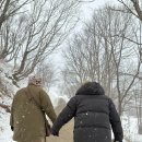 영환목장 | 찐스튜디오 강원도 평창 스냅 후기 / 양떼목장 스냅 촬영