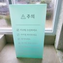 글라드 세화 | 글라드세화 제주 동쪽 10인 가족 여행 독채 풀빌라 키즈 펜션 후기.