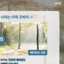 리오안경원 네이버블로그