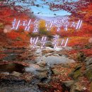 도척면-1 | 화담숲 단풍시기축제 절정 예약 방문후기