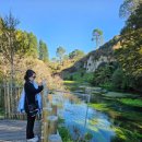 모텔퓨어 이미지