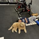 용인대 S.M복싱 이미지