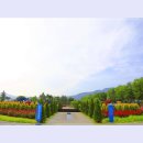 곡성-003 이미지