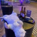 스테이 서하 | 하이라이트