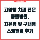 원러브동물의료센터 | 고양이 치과 전문 동물병원, 치은염 및 구내염 스케일링 후기