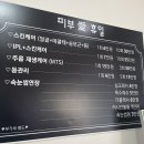 피부애휴일 네이버블로그