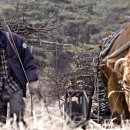 워낭소리 이미지