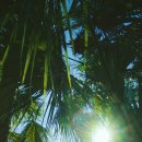 이현준한의원 이미지