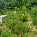 지원농장 이미지