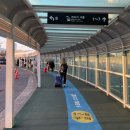 동백LPG충전소 | 제주 알프스렌트카 K5 이용 후기(LPG 충전)