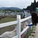 태광목장 이미지