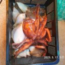 대진출장소 이미지