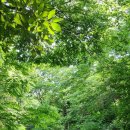 서광동리 이미지