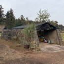 성읍리-2 이미지