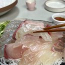 유달산 | 노량진회포장 추천 목포유달산 오마카세회 후기