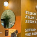 율전로63번길 | “수원불멍카페 카페쓰리몽키즈” 불빛 아래 100분의 힐링타임