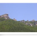 남해상사 Daum카페
