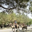 샘건축 | [중국 둔황 실크로드 여행기] 명사산 월야천 낙타체험 및 사막썰매 등 후기