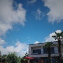 송이마당1198 이미지