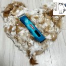 묘리깡 | [고양이 미용실 묘리깡]미용후기 모음