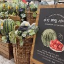 건강백화점 - 성남시 중원구 | 건강백화점